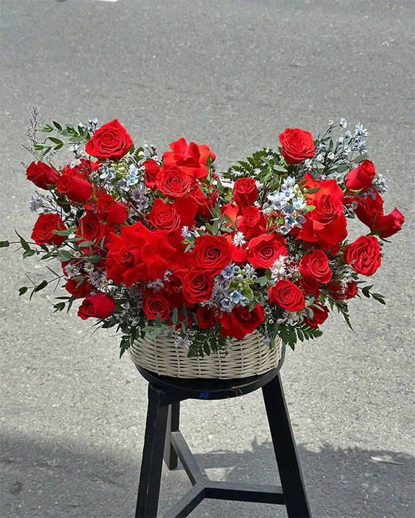 Nơi tình yêu bắt đầu