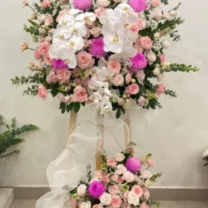 Thành danh rực rỡ 01