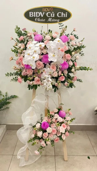 Thành danh rực rỡ 01