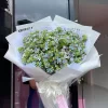 Đại Dương flower